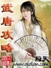《武唐攻略》（校对版全本）作者：府天 封面