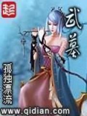 《武墓》（校对版全本）作者：孤独漂流 封面