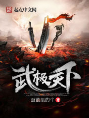 《武极天下》（校对版全本）作者：蚕茧里的牛 封面