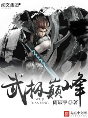 《武极巅峰》（校对版全本）作者：雨辰宇 封面