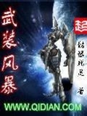 《武装风暴》（校对版全本）作者：骷髅精灵 封面