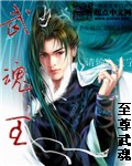 《武魂王》（校对版全本）作者：至尊武魂 封面