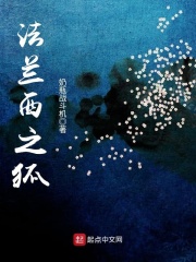 《法兰西之狐》（校对版全本）作者：奶瓶战斗机 封面