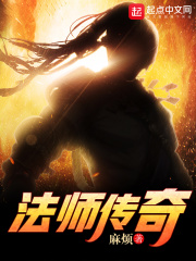 《法师传奇》（校对版全本）作者：麻烦 封面