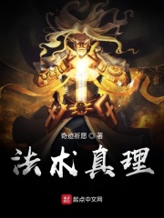 《法术真理》（校对版全本）作者：奇迹祈愿 封面