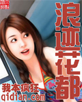《浪迹花都》（校对版全本）作者：我本疯狂 封面