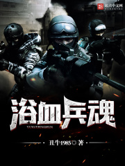 《浴血兵魂》（校对版全本）作者：丑牛1985 封面