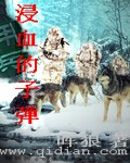 《浸血的子弹》（校对版全本）作者：晖狼 封面