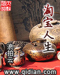 《淘宝人生》（校对版全本）作者：浪拍云 封面
