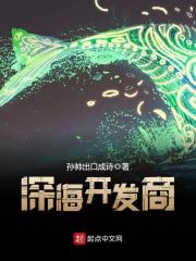 《深海开发商》（校对版全本）作者：孙帅出口成诗 封面