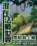《混在法师世界》（校对版全本）作者：黑暗骑士殿 封面
