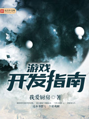 《游戏开发指南》（校对版全本）作者：我爱厨房 封面