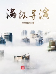 《满级导演》（校对版全本）作者：孜然腰花 封面