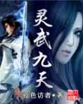 《灵武九天》（校对版全本）作者：夜色访者 封面