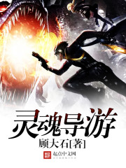 《灵魂导游》（校对版全本）作者：顾大石 封面