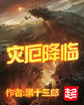 《灾厄降临》（校对版全本）作者：黑十三郎 封面