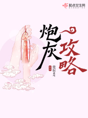 《炮灰攻略》（校对版全本）作者：莞尔wr 封面