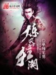 《炼器狂潮》（校对版全本）作者：单纯宅男 封面