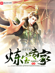 《炼宝专家》（校对版全本）作者：风起闲云 封面