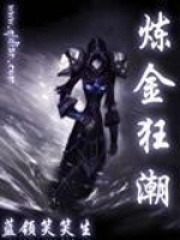 《炼金狂潮》（校对版全本）作者：蓝领笑笑生 封面