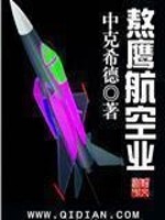 《熬鹰航空业》（校对版全本）作者：中克希德 封面