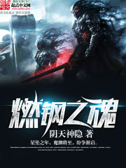 《燃钢之魂》（校对版全本）作者：阴天神隐 封面