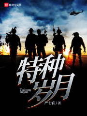《特种岁月》（校对版全本）作者：严七官 封面