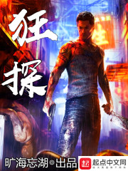 《狂探》（校对版全本）作者：旷海忘湖 封面
