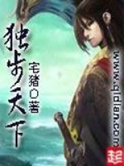《独步天下》（校对版全本）作者：宅猪 封面