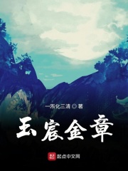 《玉宸金章》（校对版全本）作者：一炁化三清 封面