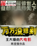 《王大锤的大电影》（校对版全本）作者：陈坚强 封面