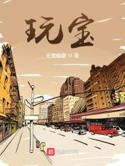 《玩宝》（校对版全本）作者：冬雪晚晴 封面