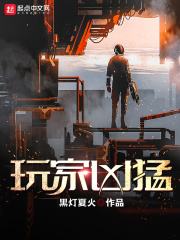 《玩家凶猛》（校对版全本）作者：黑灯夏火 封面