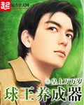 《球王养成器》（校对版全本）作者：皇上万万岁 封面
