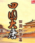 《田园大唐》（校对版全本）作者：田园如梦 封面