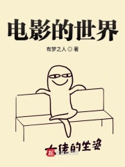《电影的世界》（校对版全本）作者：有梦之人 封面