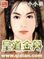 《皇道金丹》（校对版全本）作者：小小羽 封面