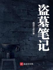 《盗墓笔记》（实体封面全本）作者：南派三叔 封面