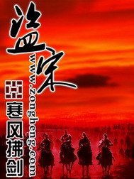 《盗宋》（校对版全本）作者：寒风拂剑 封面