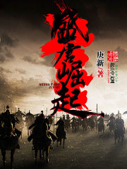 《盛唐崛起》（校对版全本）作者：庚新 封面