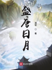 《盛唐日月》（校对版全本）作者：酒徒 封面