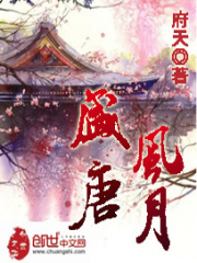 《盛唐风月》（校对版全本）作者：府天 封面