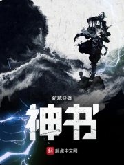 《神书》（校对版全本）作者：薪意 封面