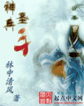 《神兵圣手》（校对把全本）作者：林中清风 封面