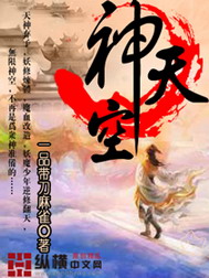 《神天空》（校对版全本）作者：一品带刀麻雀 封面