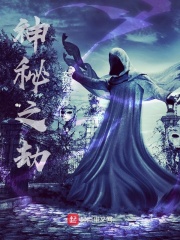 《神秘之劫》（校对版全本）作者：文抄公 封面