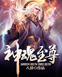 《神魂至尊》（校对版全本）作者：八异 封面