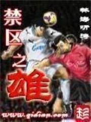 《禁区之雄》（校对版全本）作者：林海听涛 封面