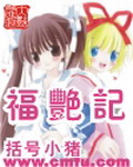 《福艳记》（校对版全本）作者：括号小猪 封面