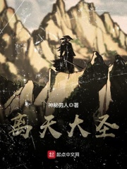 《离天大圣》（校对版全本）作者：神秘男人 封面